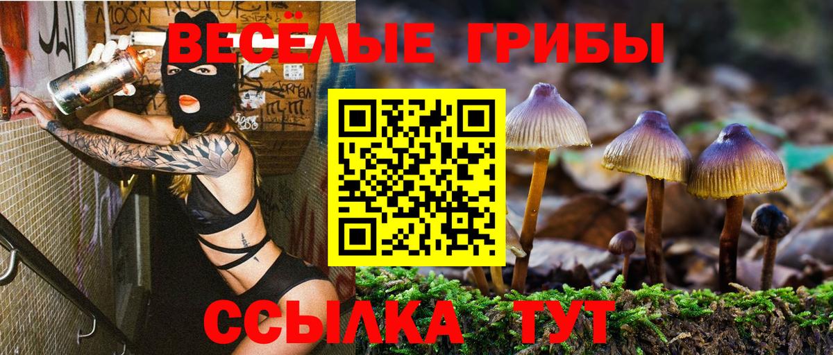 Псилоцибиновые грибы мицелий Обь