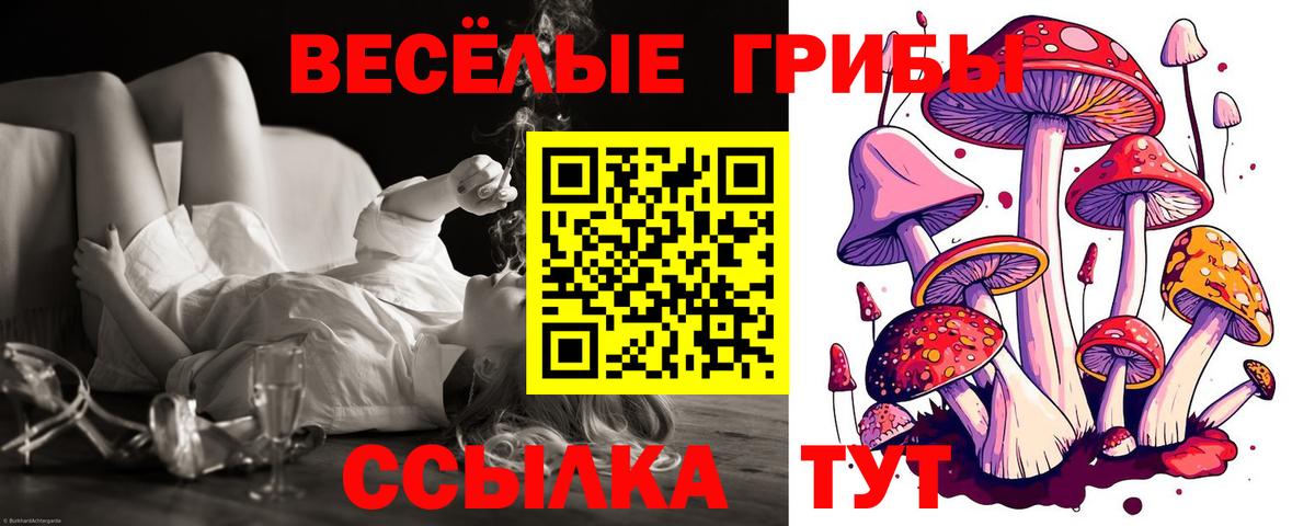 Обь  Псилоцибиновые грибы мицелий  Псилоцибиновые грибы MAGIC MUSHROOMS  Вход с VPN 